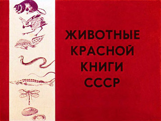 Перетурина О. Животные Красной книги