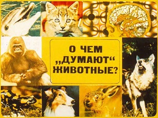 Диафильмы Разумова Т. О чем "думают" животные