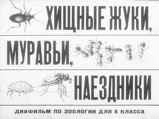 Диафильмы Чернина В. Хищные жуки, муравьи, наездники